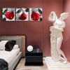 Rose Flower on Black White Canvas For Home Wall Art Decor;  3 Panels Modern Romantic Floral Framed Bedroom Decoration